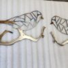Geo Birds - Image 4