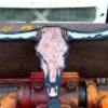 Longhorn - Image 5